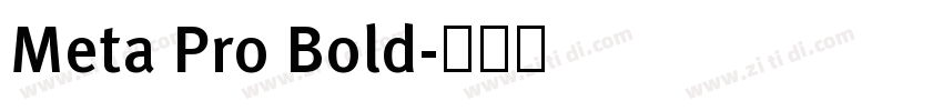 Meta Pro Bold字体转换